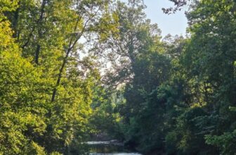 The Little Things Newsletter #483 – Life, laughter, and lots of great food!