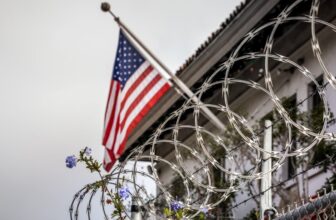 After a Complicated Legal Past, AI Set Her Free