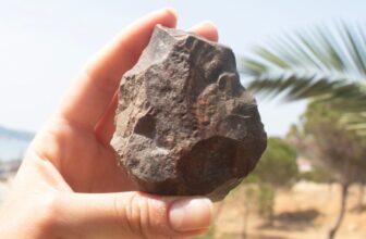 The Land Bridge You’ve Never Heard Of