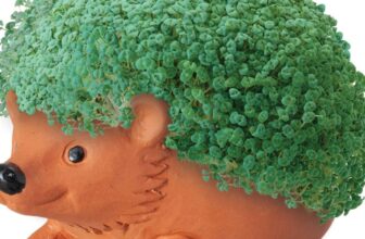 They’re Making a Movie About What?!?!