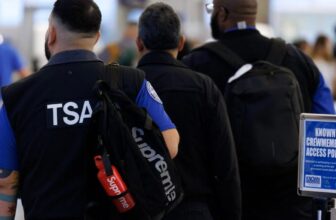 Elon Musk Claims He ‘Would Like to Offer’ to Pay TSA Workers’ Salaries