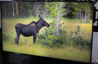 4 settings I use to fix washed-out colors on my TV