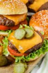 Air Fryer Hamburgers