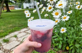 Easy Mocktails – Barefeet in the Kitchen